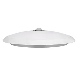 LED Ceiling Light For Household, dimmable & CCT by remote control